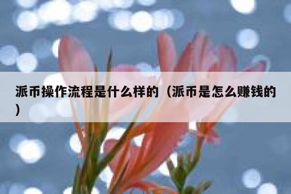 派币操作流程是什么样的（派币是怎么赚钱的） 第1张