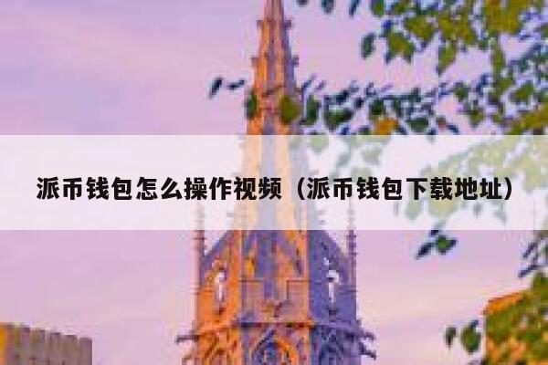 派币钱包怎么操作视频（派币钱包下载地址） 第1张