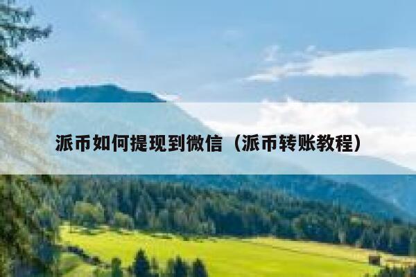 派币如何提现到微信（派币转账教程） 第1张