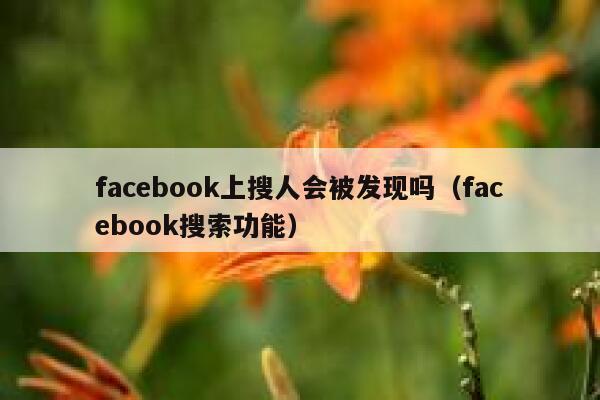 facebook上搜人会被发现吗（facebook搜索功能） 第1张