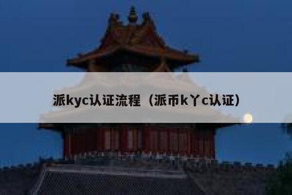 派kyc认证流程（派币k丫c认证） 第1张