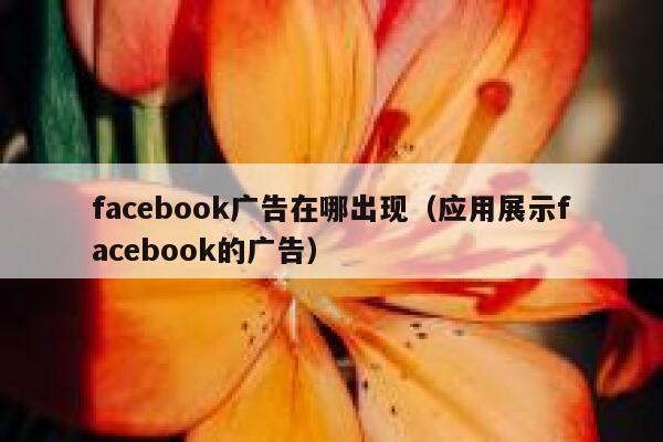 facebook广告在哪出现（应用展示facebook的广告） 第1张