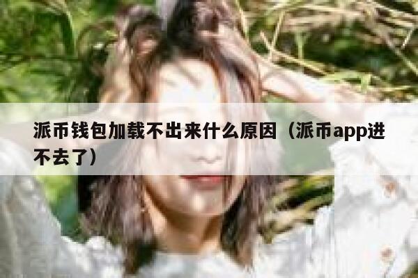派币钱包加载不出来什么原因（派币app进不去了） 第1张