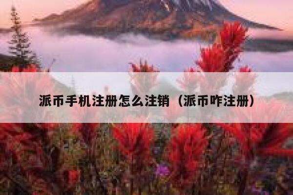 派币手机注册怎么注销（派币咋注册） 第1张