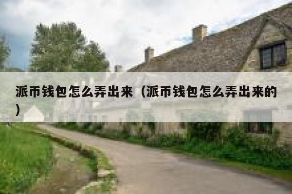 派币钱包怎么弄出来（派币钱包怎么弄出来的） 第1张