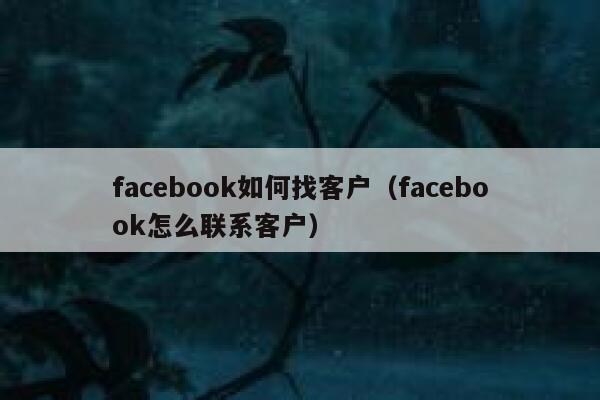 facebook如何找客户（facebook怎么联系客户） 第1张