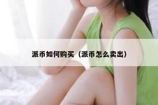 派币如何购买（派币怎么卖出） 第1张