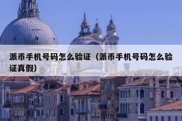 派币手机号码怎么验证(派币手机号码怎么验证真假) 第1张 派币手机号码怎么验证(派币手机号码怎么验证真假) 第1张