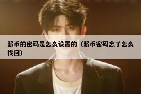 派币的密码是怎么设置的(派币密码忘了怎么找回) 第1张 派币的密码是怎么设置的(派币密码忘了怎么找回) 第1张