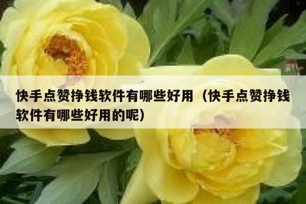 快手点赞挣钱软件有哪些好用(快手点赞挣钱软件有哪些好用的呢) 第1张 快手点赞挣钱软件有哪些好用(快手点赞挣钱软件有哪些好用的呢) 第1张