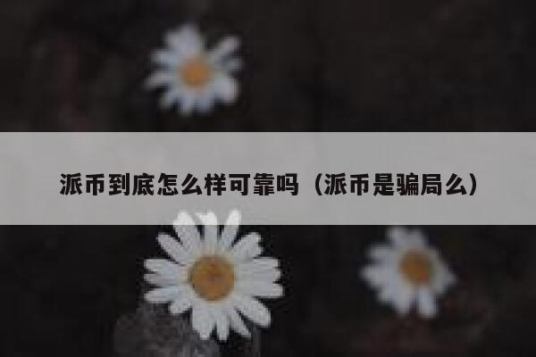 派币到底怎么样可靠吗(派币是骗局么) 第1张 派币到底怎么样可靠吗(派币是骗局么) 第1张