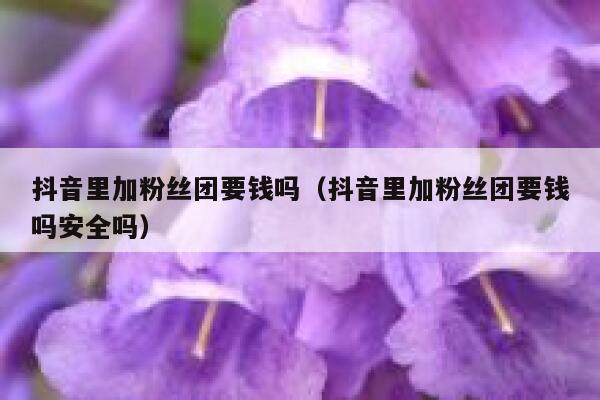 抖音里加粉丝团要钱吗(抖音里加粉丝团要钱吗安全吗) 第1张 抖音里加粉丝团要钱吗(抖音里加粉丝团要钱吗安全吗) 第1张