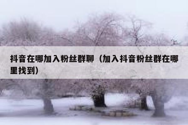 抖音在哪加入粉丝群聊(加入抖音粉丝群在哪里找到) 第1张 抖音在哪加入粉丝群聊(加入抖音粉丝群在哪里找到) 第1张