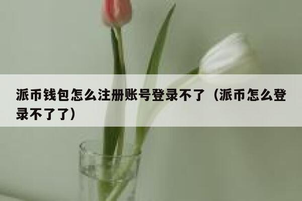 派币钱包怎么注册账号登录不了（派币怎么登录不了了） 第1张
