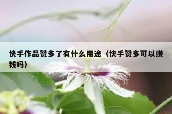 快手作品赞多了有什么用途(快手赞多可以赚钱吗) 第1张 快手作品赞多了有什么用途(快手赞多可以赚钱吗) 第1张