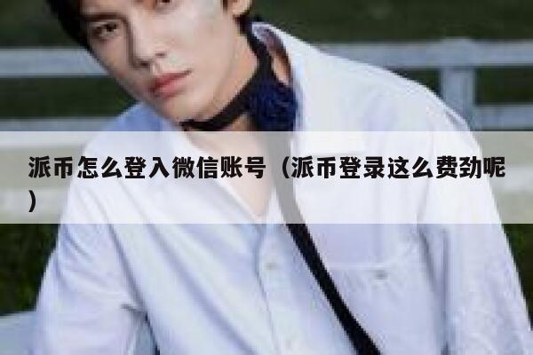 派币怎么登入微信账号（派币登录这么费劲呢） 第1张