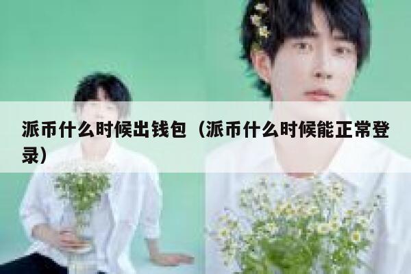 派币什么时候出钱包（派币什么时候能正常登录） 第1张