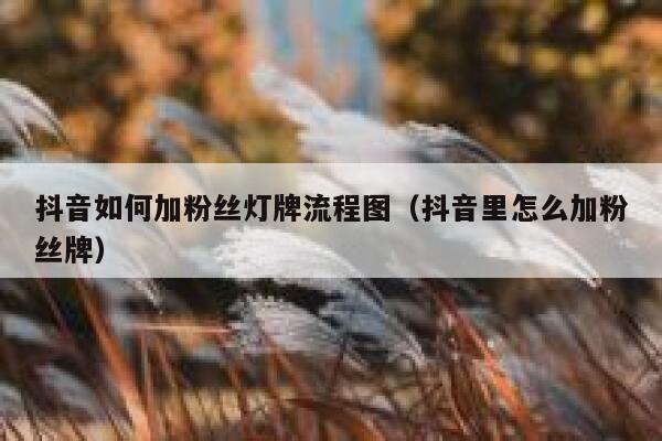 抖音如何加粉丝灯牌流程图（抖音里怎么加粉丝牌） 第1张
