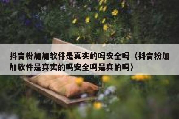 抖音粉加加软件是真实的吗安全吗（抖音粉加加软件是真实的吗安全吗是真的吗） 第1张