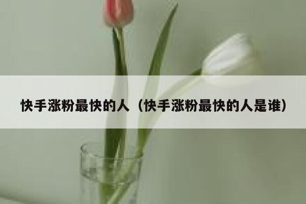 快手涨粉最快的人（快手涨粉最快的人是谁） 第1张