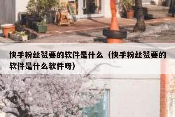 快手粉丝赞要的软件是什么(快手粉丝赞要的软件是什么软件呀) 第1张 快手粉丝赞要的软件是什么(快手粉丝赞要的软件是什么软件呀) 第1张