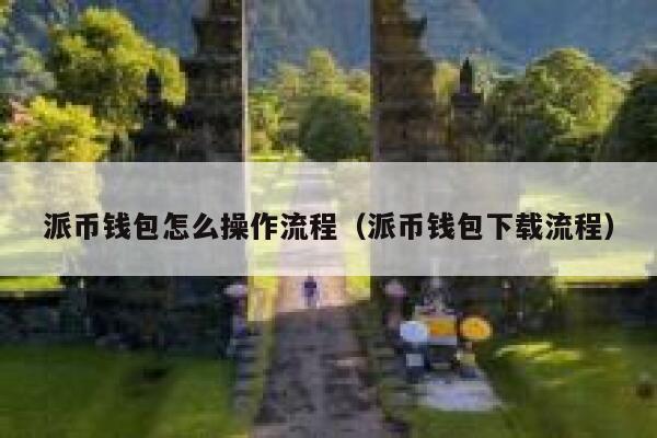 派币钱包怎么操作流程（派币钱包下载流程） 第1张