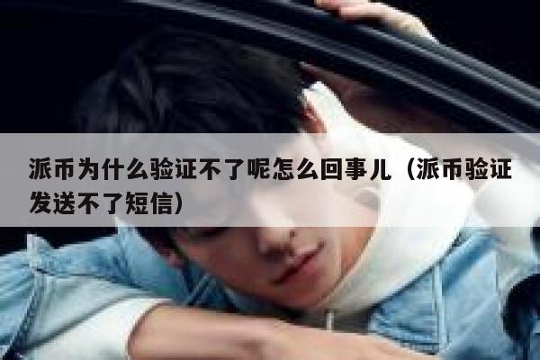 派币为什么验证不了呢怎么回事儿（派币验证发送不了短信） 第1张