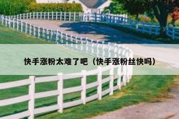 快手涨粉太难了吧（快手涨粉丝快吗） 第1张