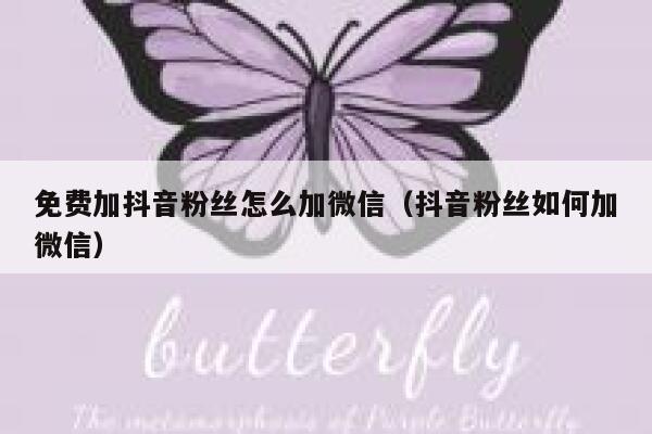 免费加抖音粉丝怎么加微信（抖音粉丝如何加微信） 第1张