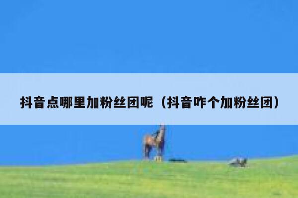 抖音点哪里加粉丝团呢（抖音咋个加粉丝团） 第1张