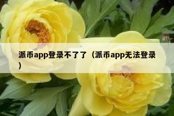 派币app登录不了了（派币app无法登录） 第1张