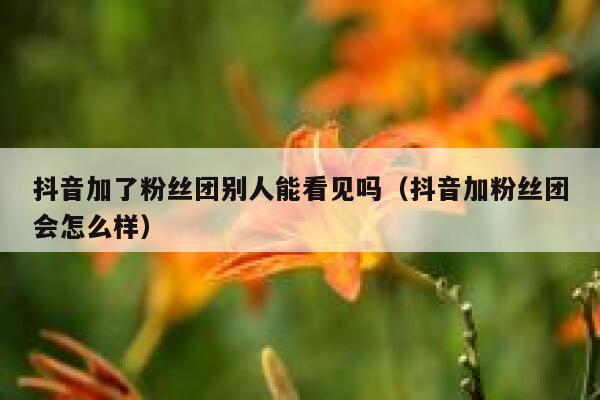 抖音加了粉丝团别人能看见吗（抖音加粉丝团会怎么样） 第1张