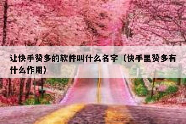 让快手赞多的软件叫什么名字（快手里赞多有什么作用） 第1张