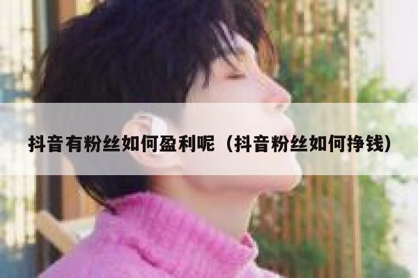 抖音有粉丝如何盈利呢（抖音粉丝如何挣钱） 第1张