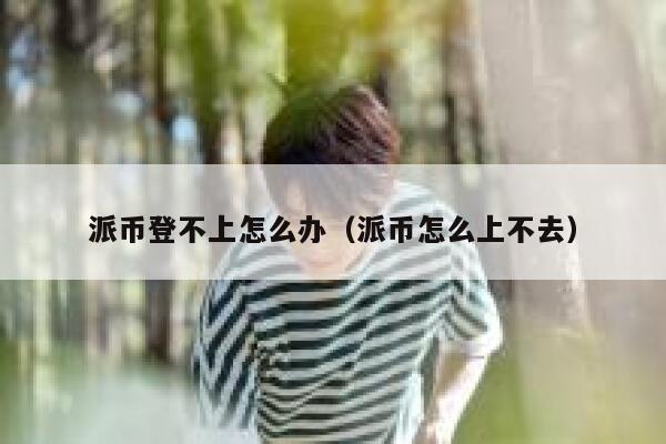 派币登不上怎么办（派币怎么上不去） 第1张