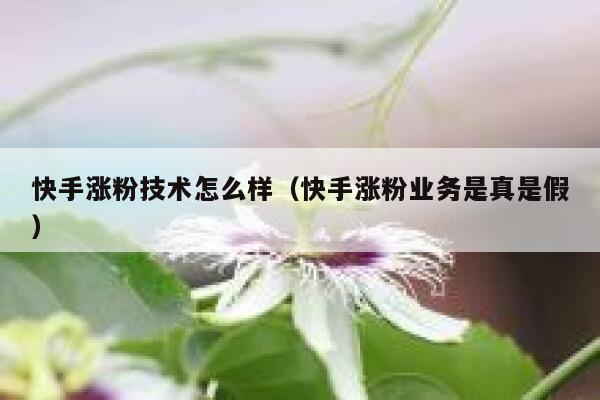 快手涨粉技术怎么样（快手涨粉业务是真是假） 第1张