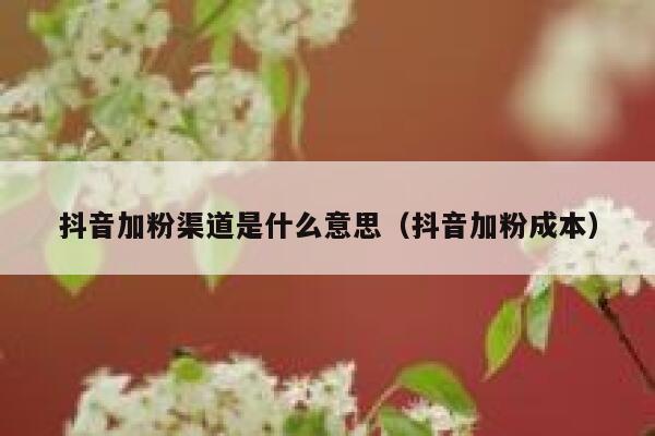 抖音加粉渠道是什么意思（抖音加粉成本） 第1张