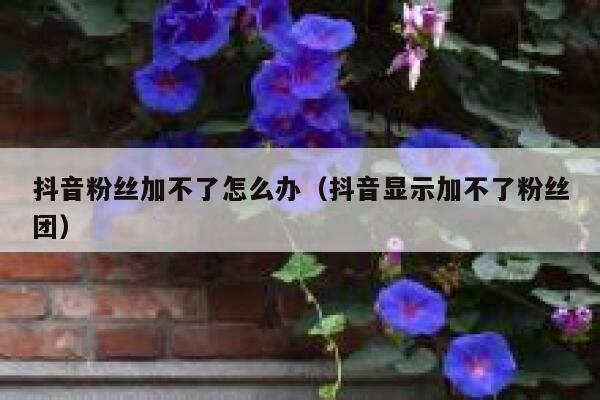 抖音粉丝加不了怎么办（抖音显示加不了粉丝团） 第1张