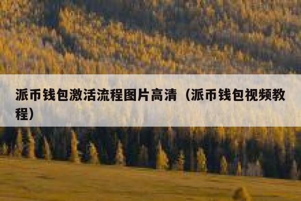 派币钱包激活流程图片高清（派币钱包视频教程） 第1张