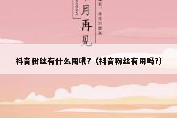 抖音粉丝有什么用嘞?（抖音粉丝有用吗?） 第1张