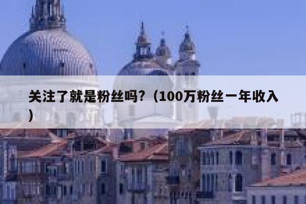 关注了就是粉丝吗?（100万粉丝一年收入） 第1张