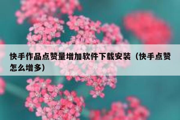 快手作品点赞量增加软件下载安装（快手点赞怎么增多） 第1张