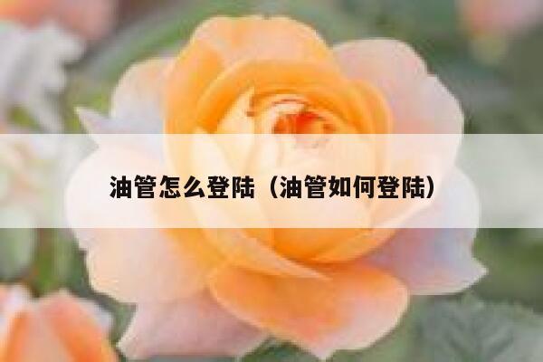 油管怎么登陆（油管如何登陆） 第1张