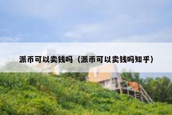 派币可以卖钱吗（派币可以卖钱吗知乎） 第1张