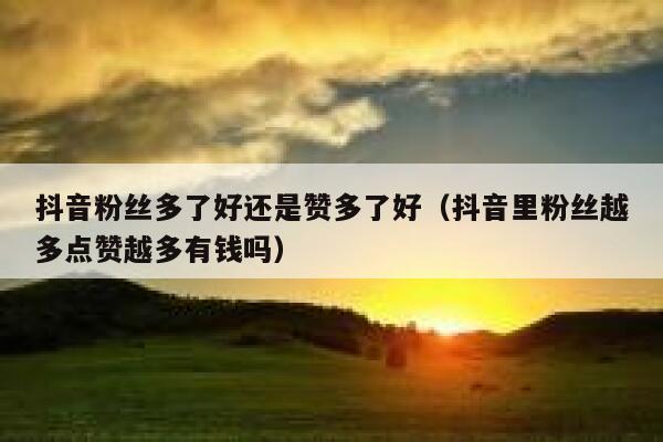 抖音粉丝多了好还是赞多了好（抖音里粉丝越多点赞越多有钱吗） 第1张