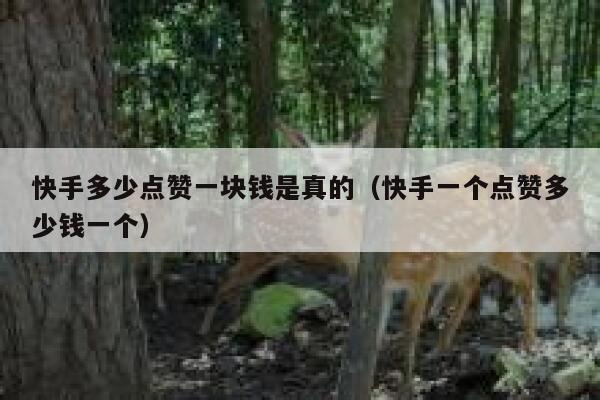 快手多少点赞一块钱是真的（快手一个点赞多少钱一个） 第1张