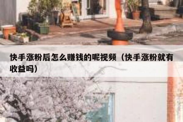 快手涨粉后怎么赚钱的呢视频（快手涨粉就有收益吗） 第1张