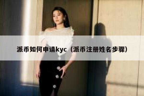 派币如何申请kyc（派币注册姓名步骤） 第1张