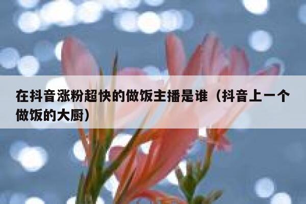 在抖音涨粉超快的做饭主播是谁（抖音上一个做饭的大厨） 第1张