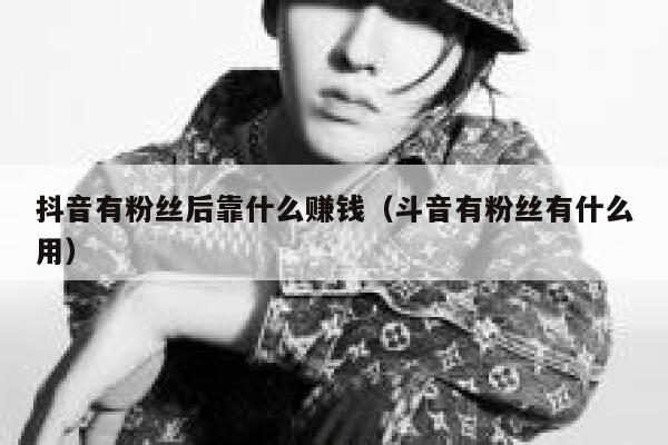 抖音有粉丝后靠什么赚钱（斗音有粉丝有什么用） 第1张